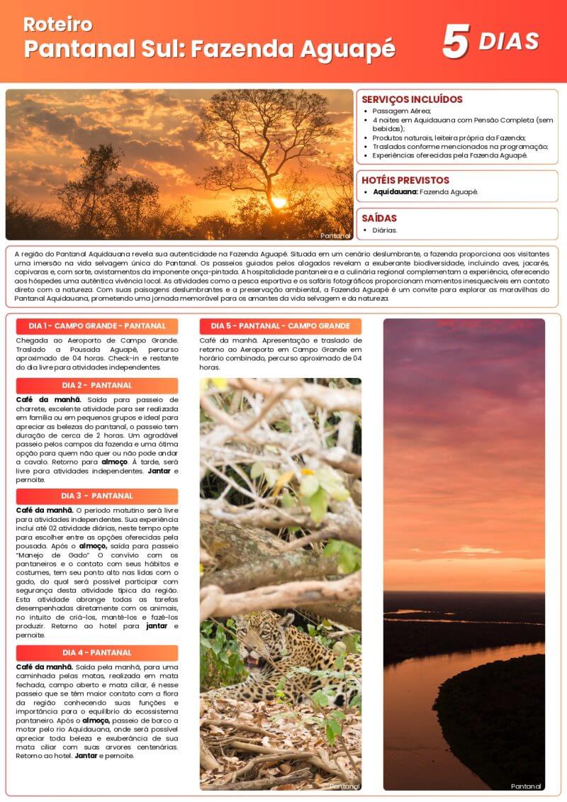 Roteiros Ecológicos & Experiências - Image 14