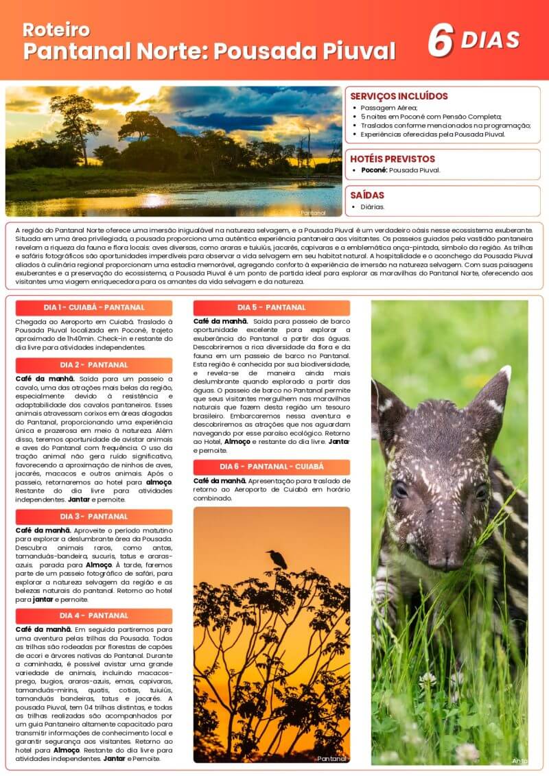 Roteiros Ecológicos & Experiências - Image 15