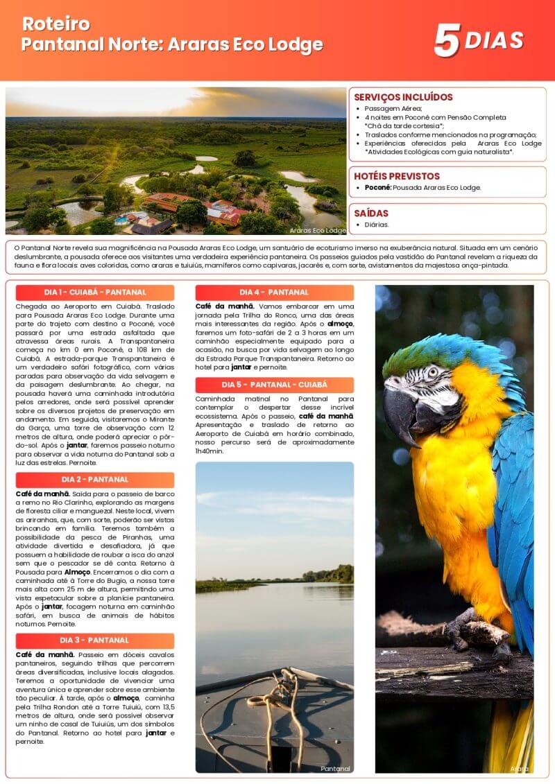 Roteiros Ecológicos & Experiências - Image 33